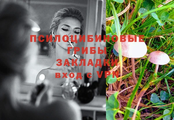 ешки Абаза